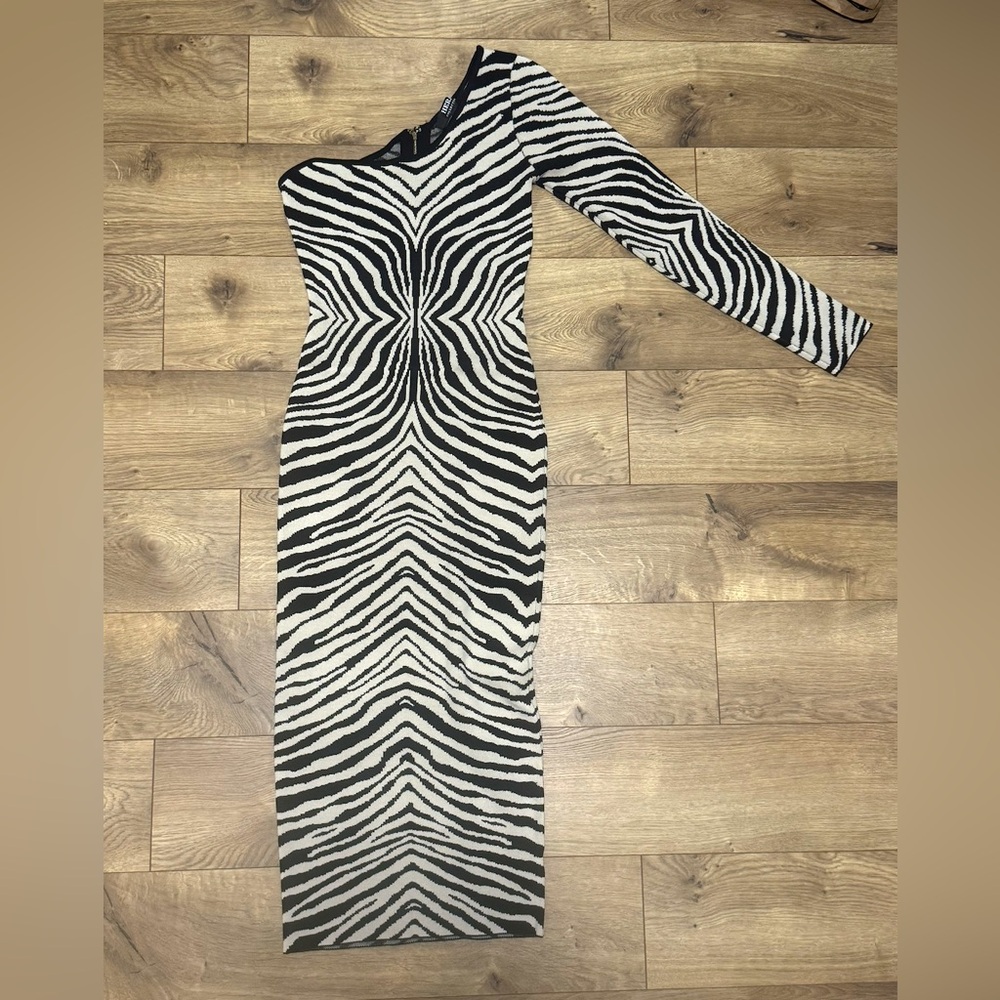 Brand New Zebra Print One Long Sleeve Dress